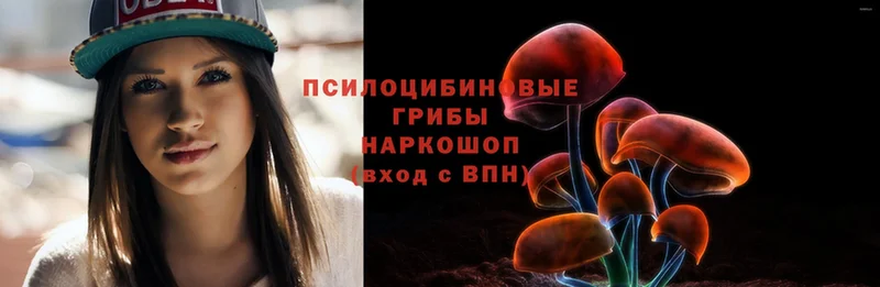 Галлюциногенные грибы Psilocybe  Островной 